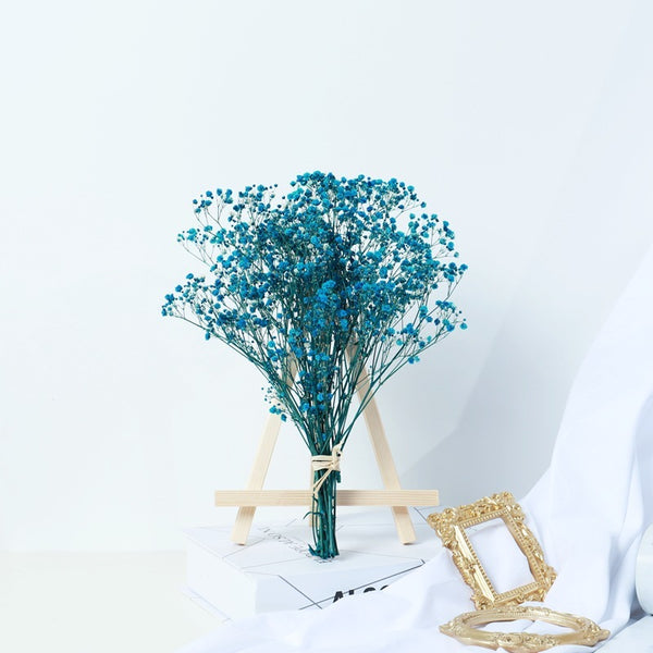 Gypsophila Dried Flower Bouquet – Air-Dried Real Flowers for Living Room