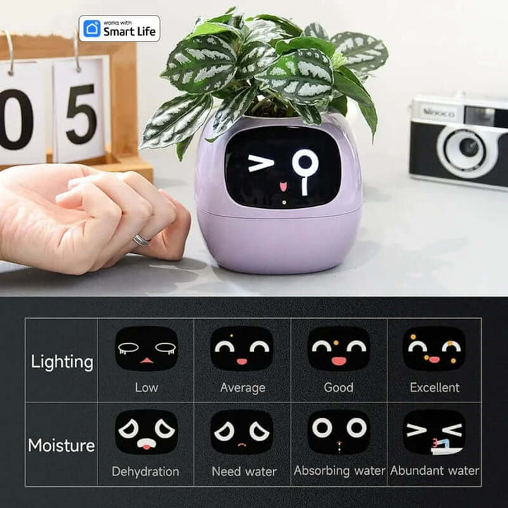 Smart flower pot with automatic watering and digital photo frame