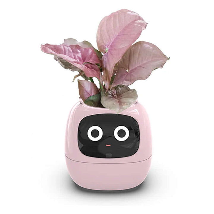 Smart flower pot with automatic watering and digital photo frame