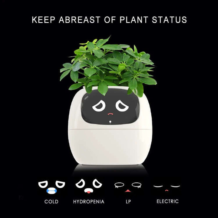 Smart flower pot with automatic watering and digital photo frame