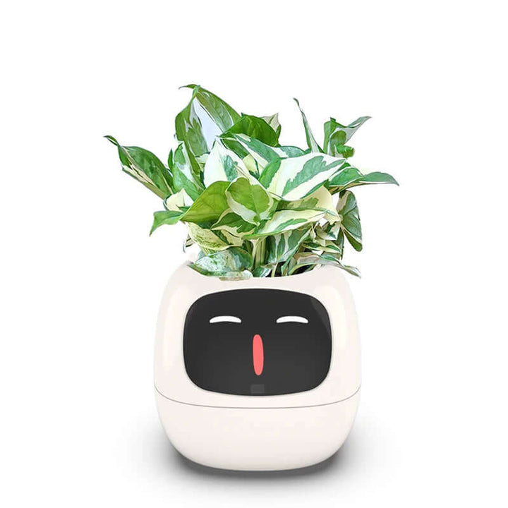 Smart flower pot with automatic watering and digital photo frame